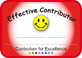 CERT Effective Contributer